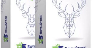 royalstock review